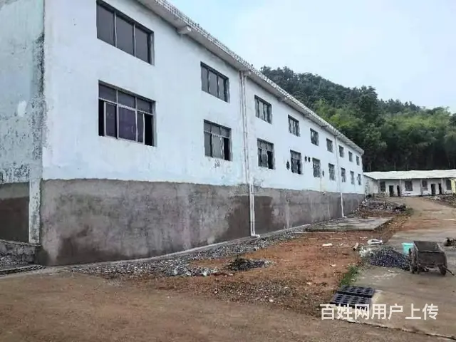 （老板本人）宁乡金洲区正规厂房办公楼出租  6330 - 图片 3