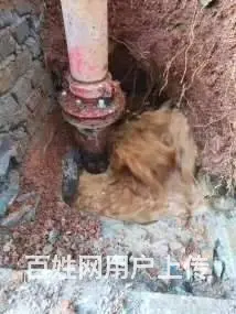 昆明地区 专业供水管道漏水检测 消防管道漏水探测 - 图片 2