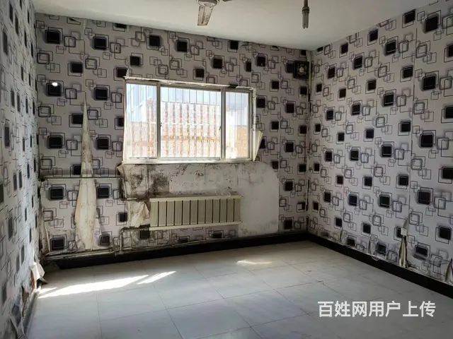 （易店）淄川山川路北石谷沿街商铺低价出租（可整租可分租） - 图片 8