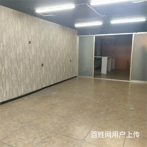 昌邑区上海路花鸟鱼市场对面门市出售 - 图片 7