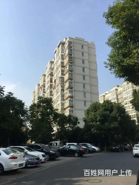 青枫公园宝龙广场 梧桐苑 精装修2房价格包物业拎包 - 图片 9