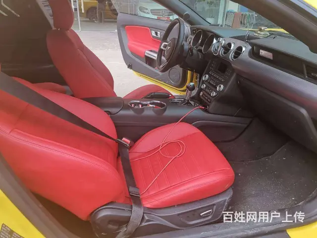 【搞定了！】福特Mustang [野马](进口) - 图片 6