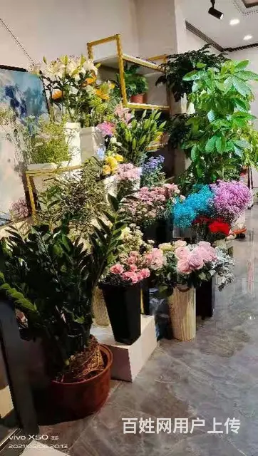 7586（七P）个人城中区莫家街马忠商务宾馆对面花店转让 - 图片 5