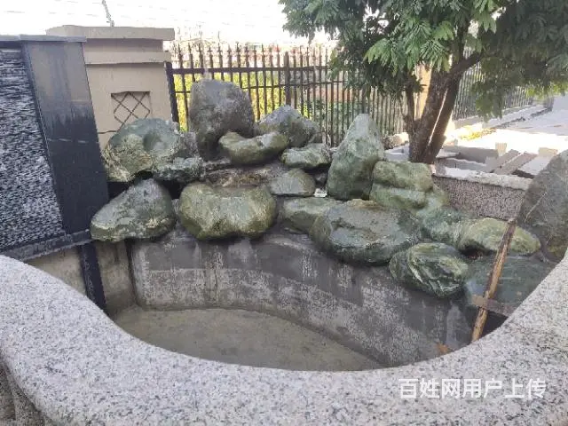 鱼池维护 - 图片 4