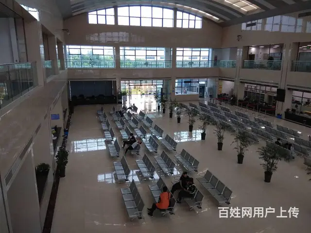 代办新车上沪c - 图片 2