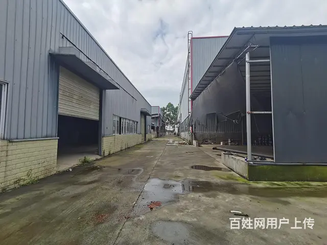 德新镇独门独院标准厂房、场地出租出售（可分租） - 图片 4
