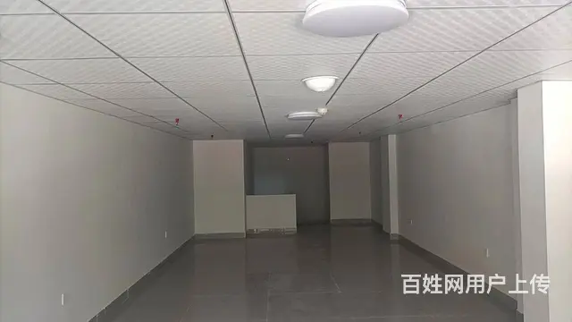 （51旺铺推荐）定安见龙大道130平新铺出租 - 图片 3