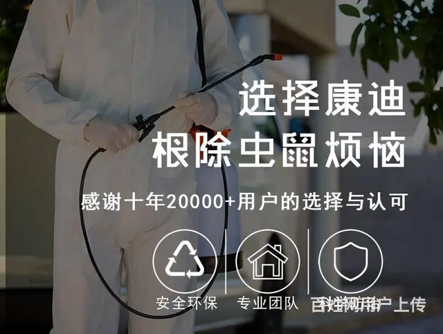 康迪虫控|专业灭鼠|杀蟑螂|除虫除蚁|上门服务 - 图片 2