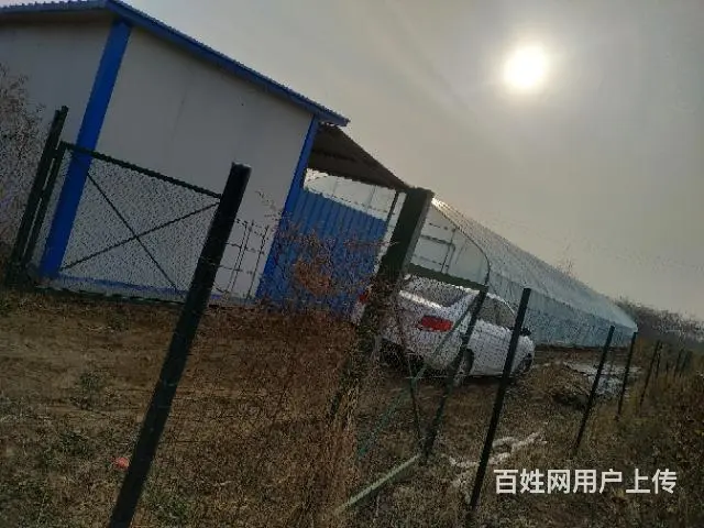想种花大棚，种菜大棚看过来 - 图片 3
