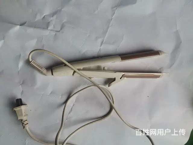 电饭煲，电水壶，电炒锅，吹风机，拉直发器10元起等 - 图片 9