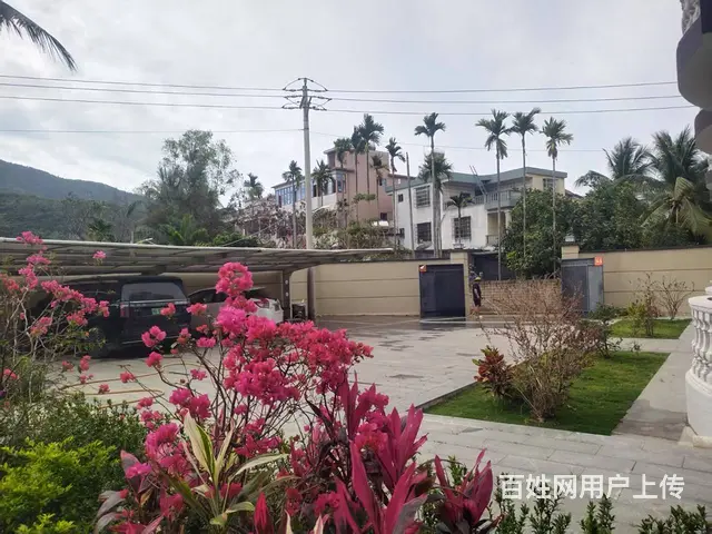（51旺铺推荐）南丁村多栋民宿出租 - 图片 5
