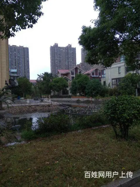 五洲国际购物中心隔壁 紫阳美地山庄别墅开发商直签送 - 图片 3