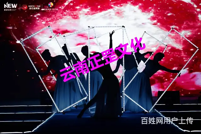 舞台搭建、灯光音响、LED屏、桌椅租赁、演出节目 - 图片 11