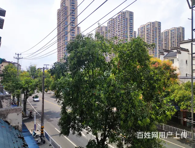 市法院宿舍多层3楼四室两厅两卫房屋送柴间一起出售 - 图片 12