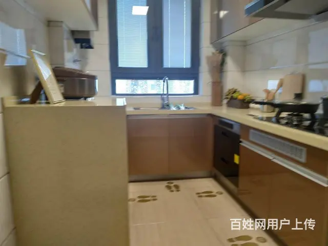 江东府，一手直签房，首付8万起，送储藏室，专车带看 - 图片 2