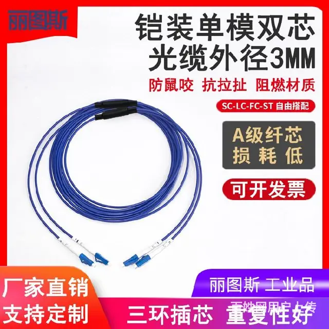丽图斯工业级不锈钢铠装光纤跳线SC-SC单模单芯，抗拉拽阻燃 - 图片 1