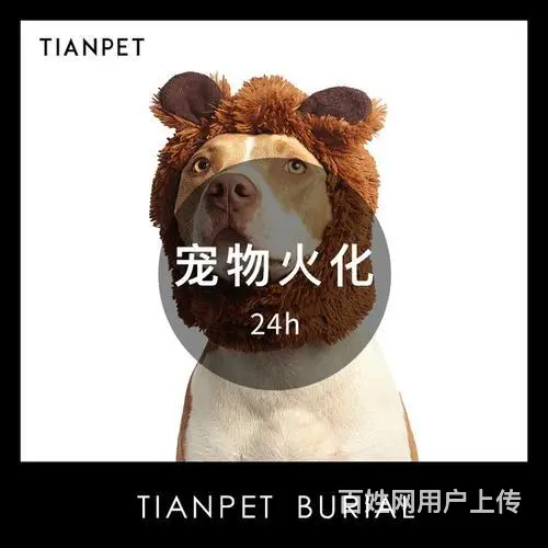 【揭阳正规宠物殡葬公司,价格透明 - 图片 2