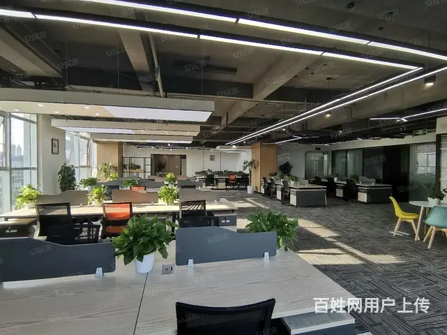 冉家坝华融现代广场三条轨道交汇处！正对电梯口豪华装 - 图片 4