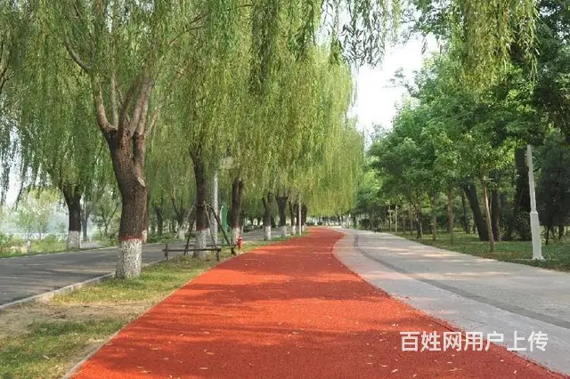 唐山胶水粘合剂路面全国供应材料 - 图片 3