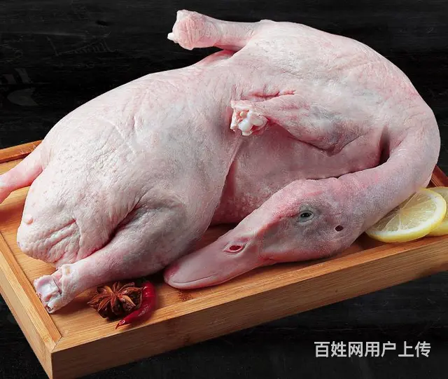 苏州供应冷冻 面点烧烤副食品调理品腌制品 免费配送 - 图片 3