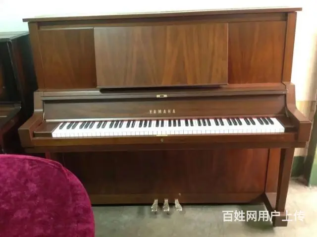淄博哪里有卖钢琴的 - 图片