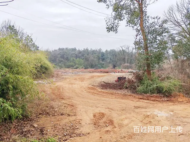 （老板本人）宁乡高速旁独门独院厂房出租  6116 - 图片 8