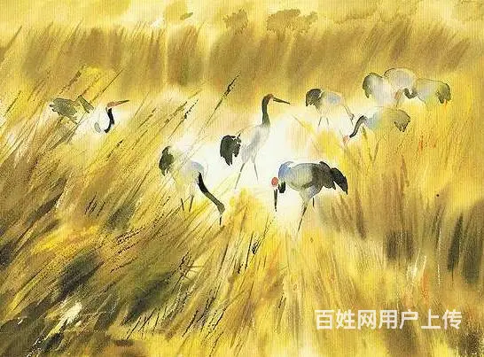 临沂零基础美术速成班 兰山素描水粉画面授机构 - 图片 3