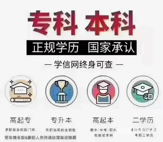 博学大专本科升学，您的首选 - 图片