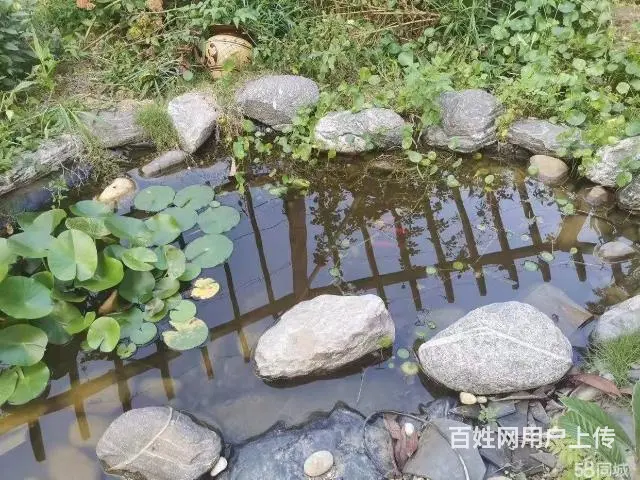 旺铺居）房东直租农家小院环境优美位置优越交通方便 - 图片 11