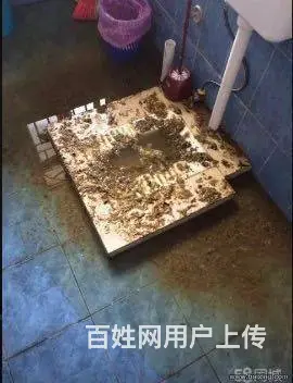 萝岗 天河 白云 海珠 疏通厕所 下水道 快速上门 - 图片 2
