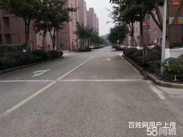 巴南界石曙光江南都市工业园1244平米标准厂库房出租，配套齐 - 图片 2