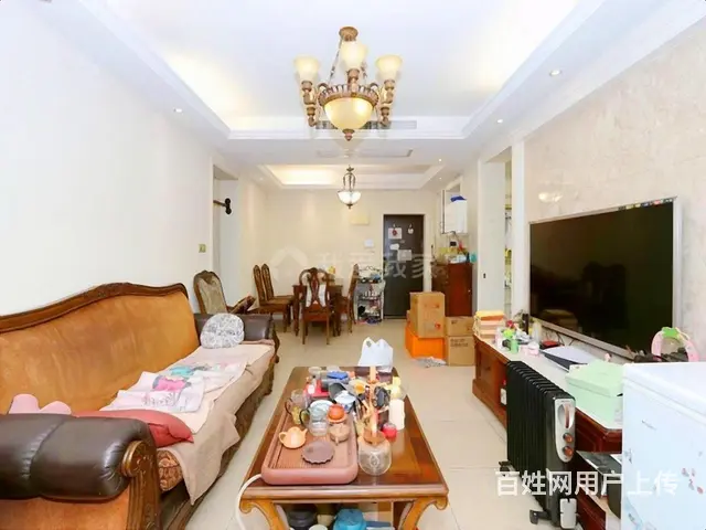 东方郡新上好房 精装修东边套  三个大阳台江南实验 房东诚售 - 图片 9
