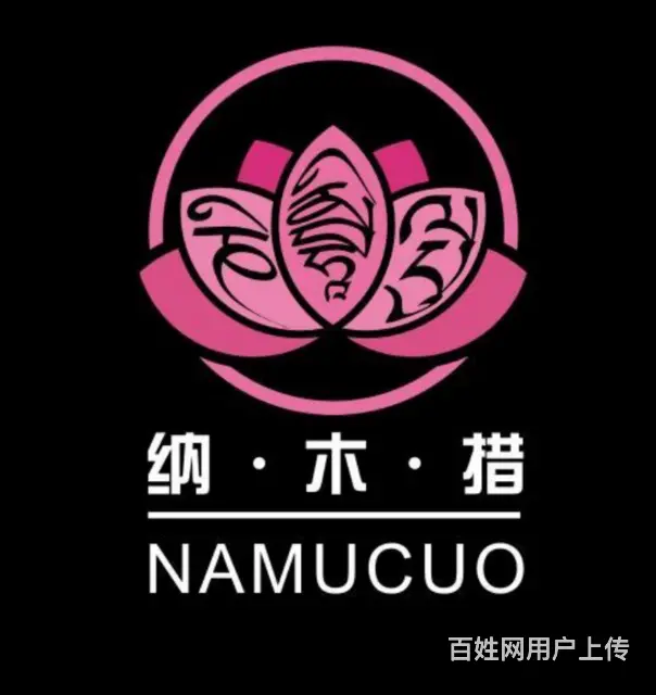 这里有西宁 专业的logo设计师、青海乐舟为您服务 - 图片 7