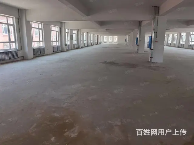 道里机场路薛家二场村厂房出租 - 图片 6