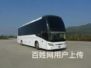 南充南部宠物托运（猫狗运输）活体邮寄快递2022/（今日推荐 - 图片 3