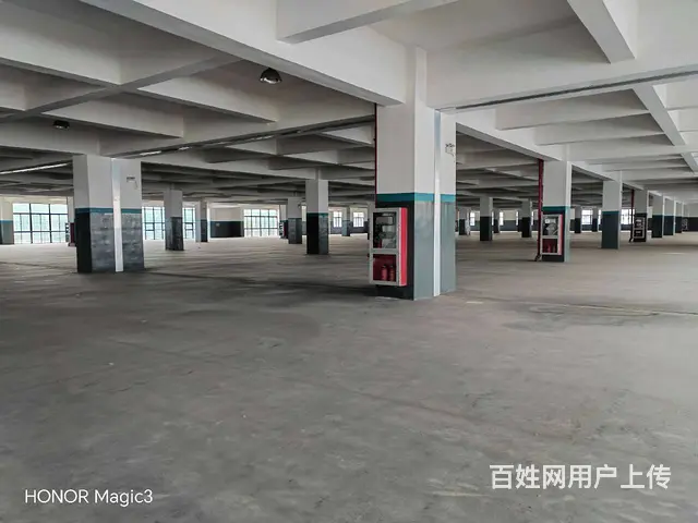 碧溪沿江开发区32000平方标准厂房出租，场地大，环境优美。 - 图片 12