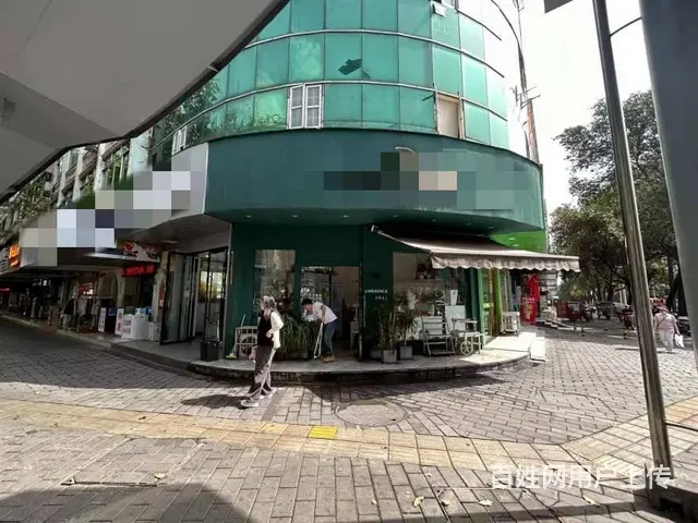 （兴铺）市中心经营4年花店整转空转可以实地考察再说 - 图片 1
