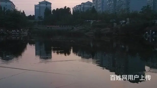 淄川白庙垂钓园出租 - 图片 4