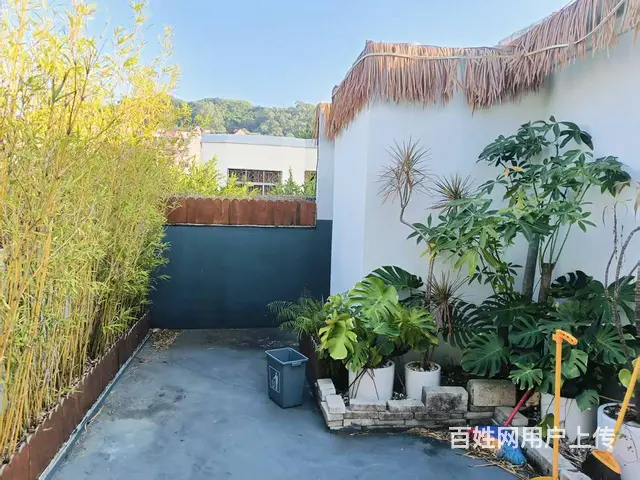 （51旺铺推荐）金鸡岭260平临街铺面出租 - 图片 7