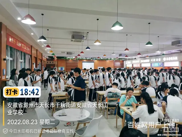 天长某高校食堂档口招商 - 图片 8