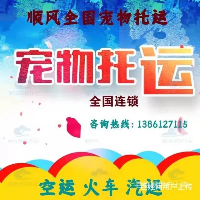 安宁市宠物托运（猫咪狗狗）邮寄（承接所有活体运输）今日/推荐 - 图片 1