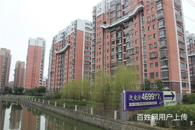 近九洲花园，祥龙苑精装大三房，南北通透，三朝南，满 - 图片 12