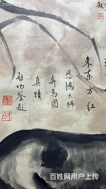 徐悲鸿回流马作品多题跋 画心127.5-65 - 图片 9
