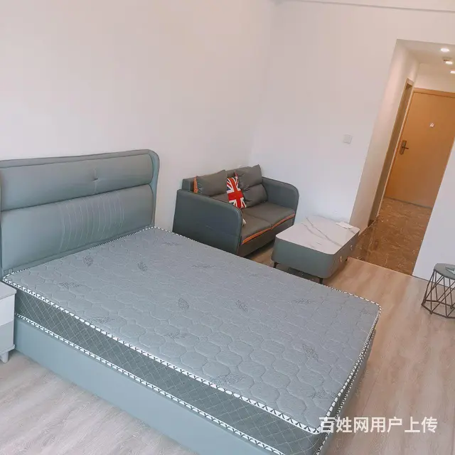 游站未来城精装公寓房出租 - 图片 7
