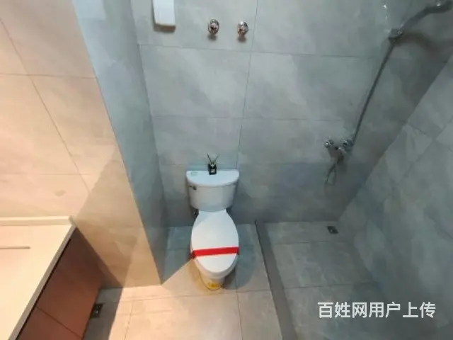 红梅公园旁弘阳天下锦精装朝南首付15万民用水电直观运河景观 - 图片 3