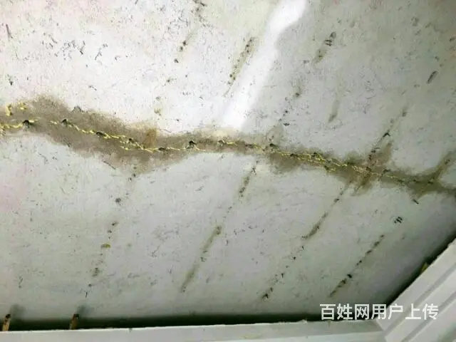 兴易隆防水补漏，SBS卷材防水，外墙防水补漏，高压注浆堵漏 - 图片 7