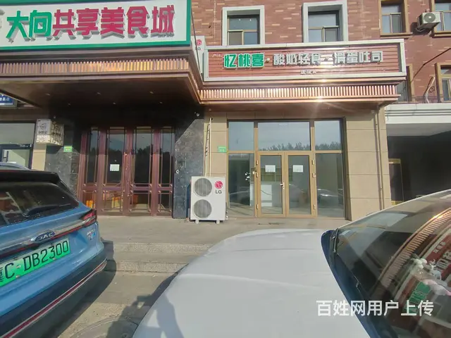 河北大街西段归提寨商业街临街旺铺房主直租，面积50-400平 - 图片 6