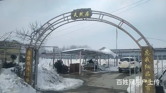 威海文登镇汪疃村楼下村蔬菜大棚出租或转让 - 图片 1