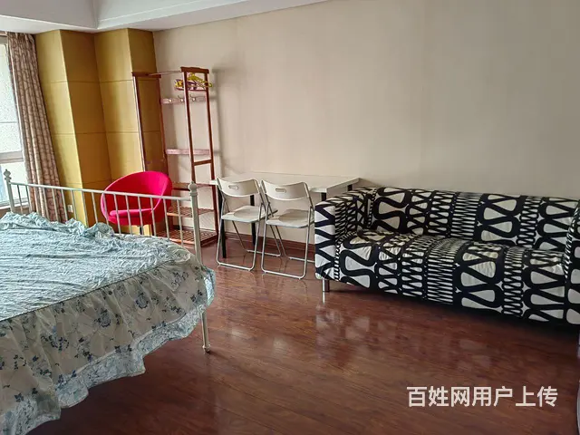 青年大街沿线，地段繁华，精品公寓 - 图片 3