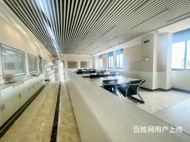 （老板本人）雨花区国际创新城临街办公楼厂房出租  6527 - 图片 6
